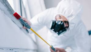 Real Estate Pest Inspections in Choteau, MT